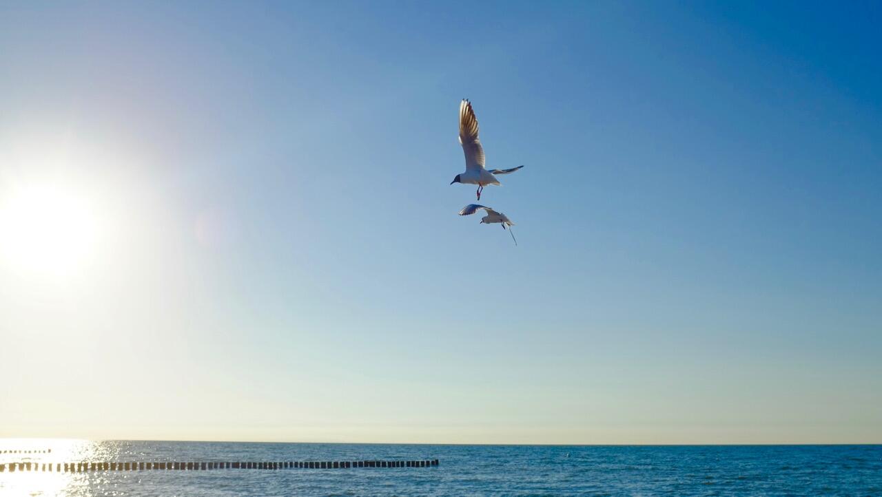 Bild ohne Beschreibung Bild ohne Beschreibung