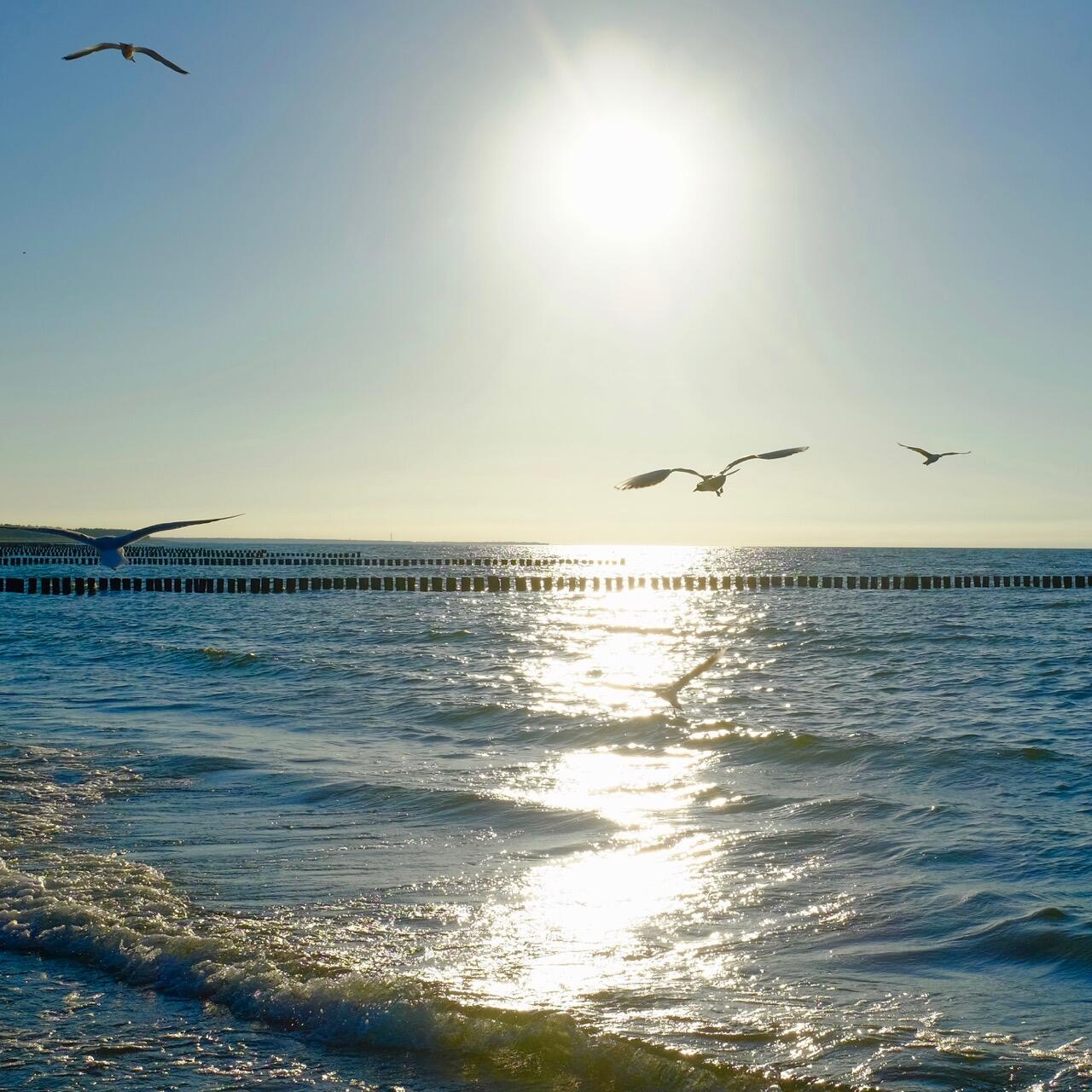 Bild ohne Beschreibung Bild ohne Beschreibung