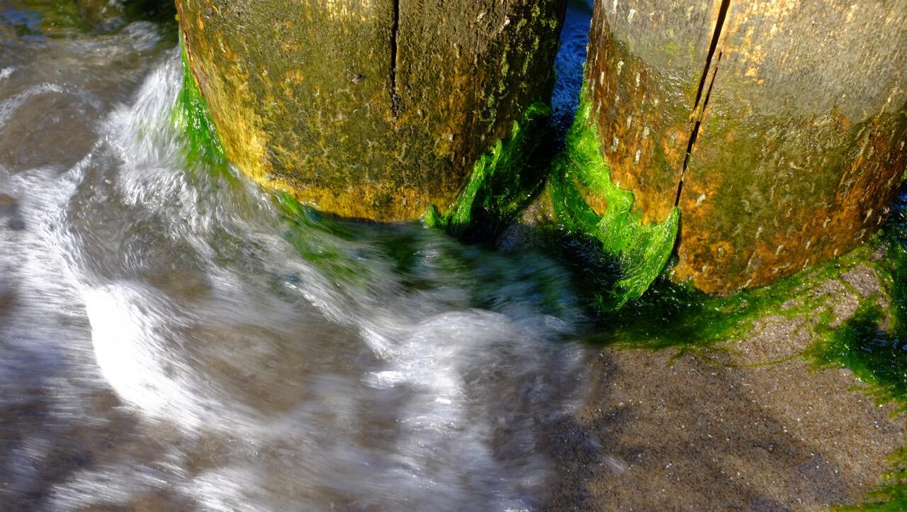 Bild ohne Beschreibung Bild ohne Beschreibung