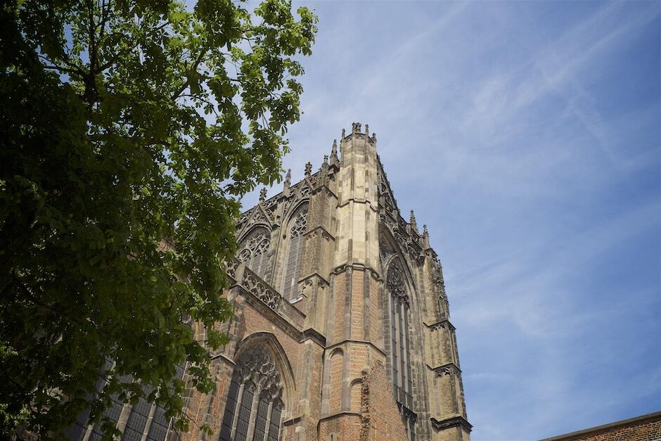 Bild ohne Beschreibung