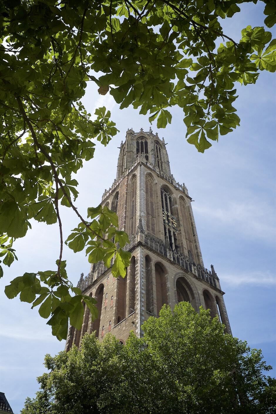 Bild ohne Beschreibung