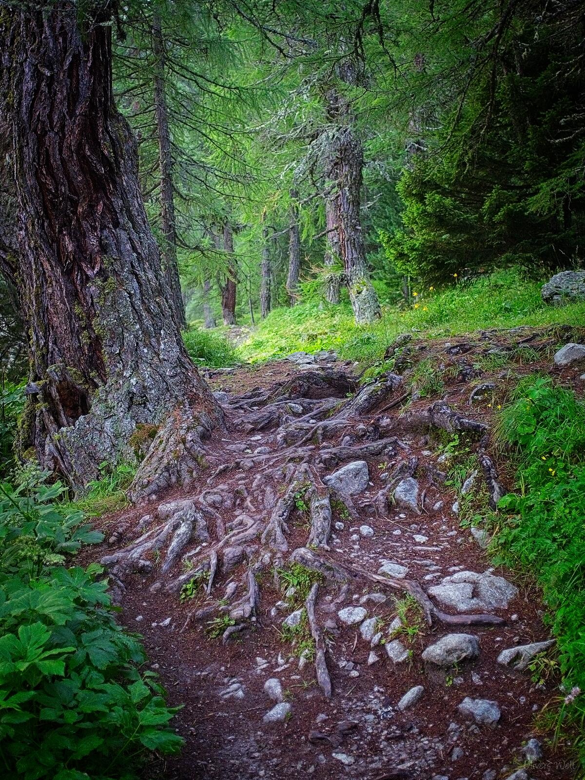 Bild ohne Beschreibung Bild ohne Beschreibung