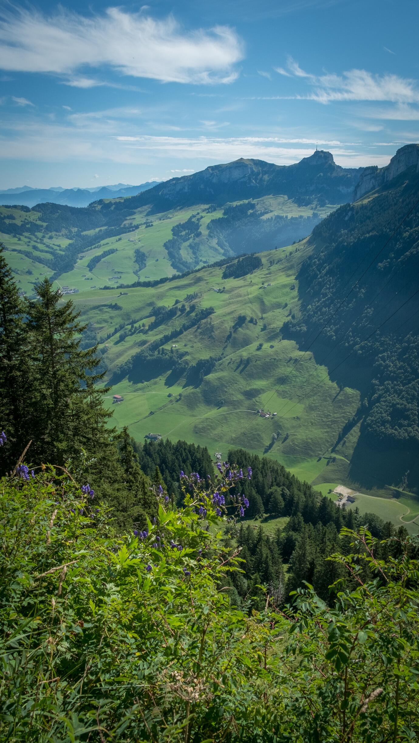 Bild ohne Beschreibung Bild ohne Beschreibung