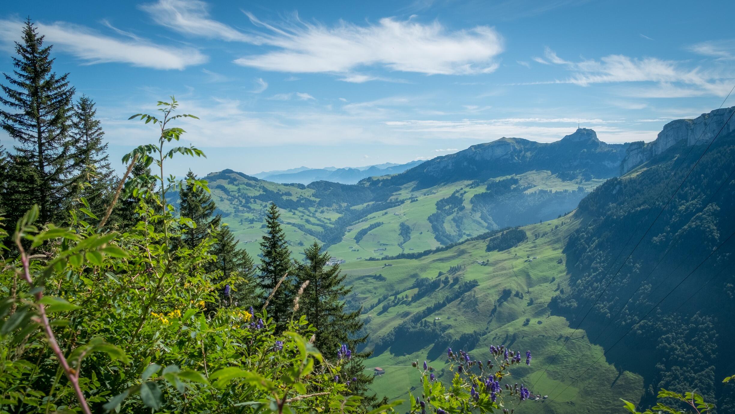 Bild ohne Beschreibung Bild ohne Beschreibung