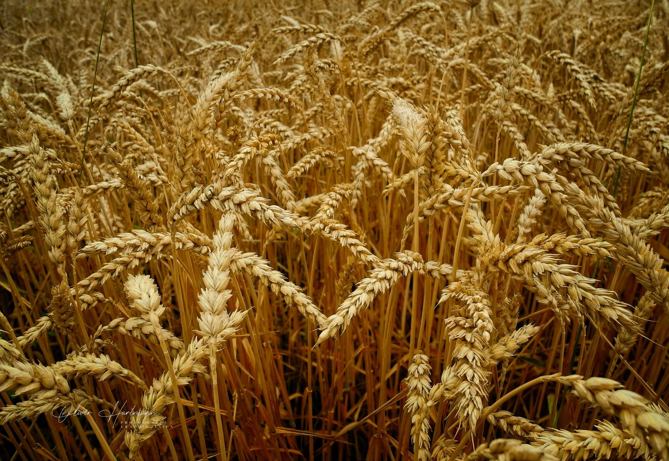 Bild ohne Beschreibung Bild ohne Beschreibung