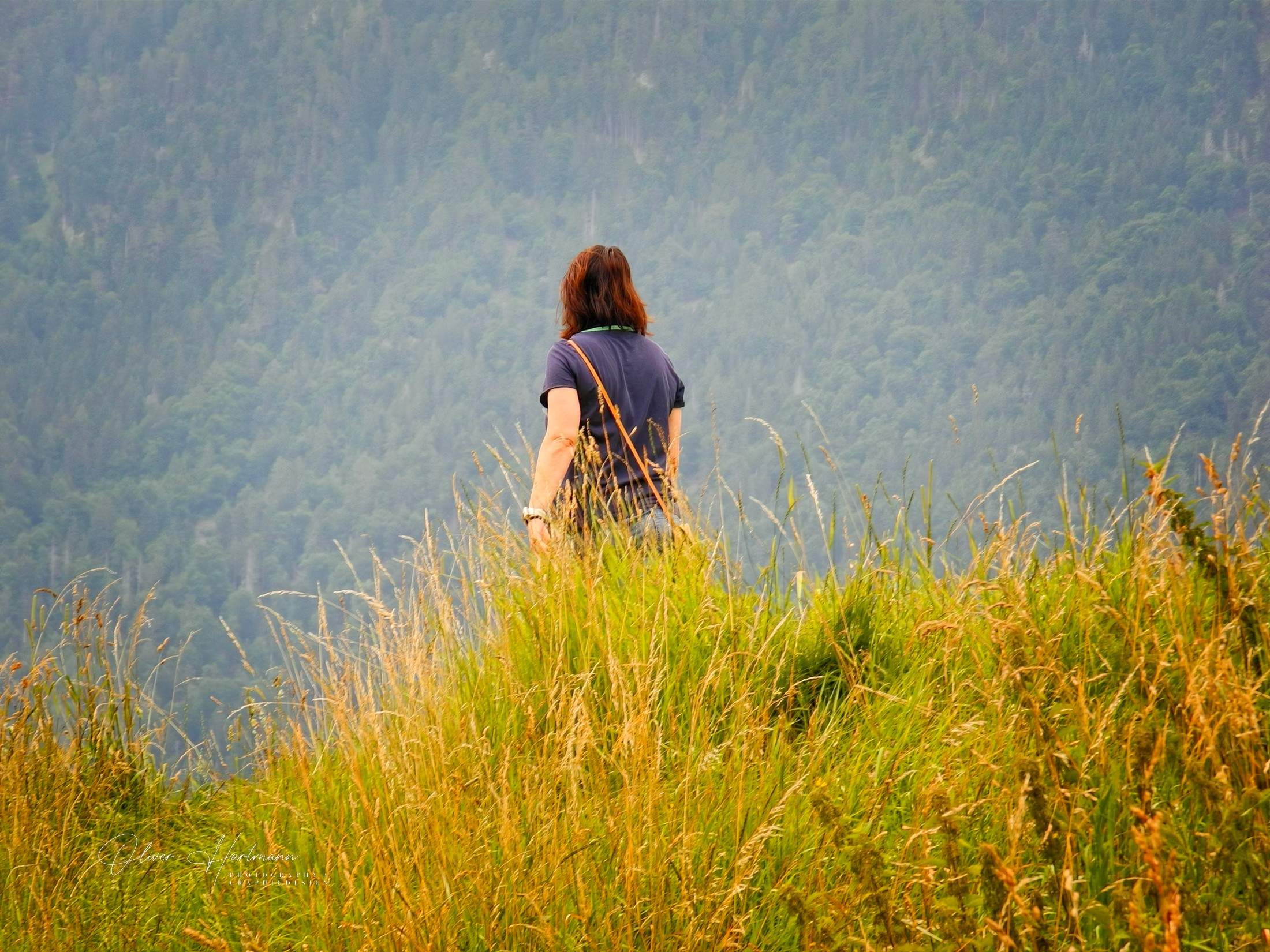 Bild ohne Beschreibung Bild ohne Beschreibung