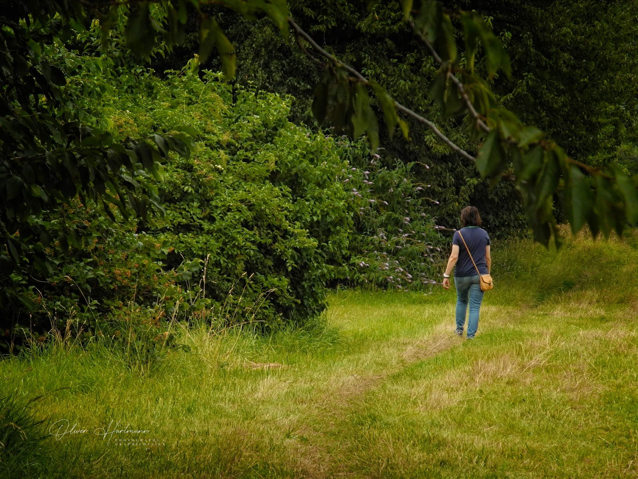 Bild ohne Beschreibung Bild ohne Beschreibung