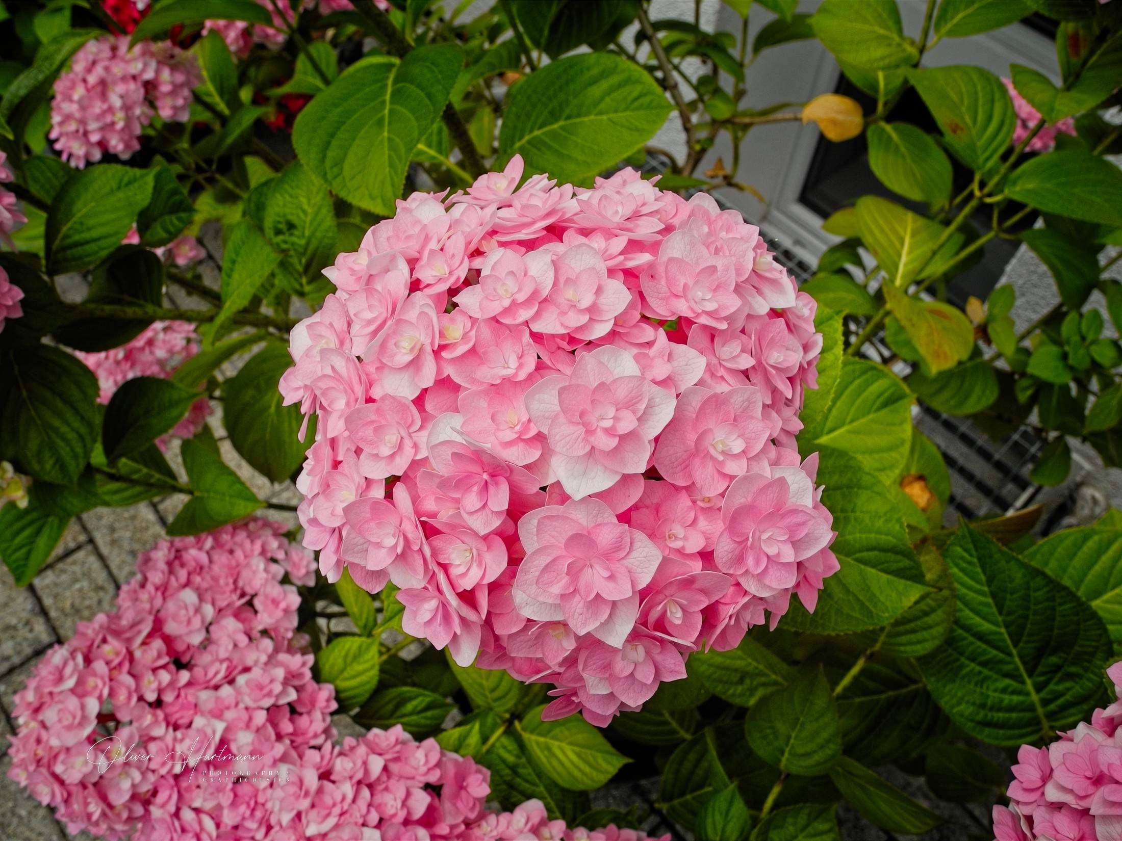 Bild ohne Beschreibung Bild ohne Beschreibung