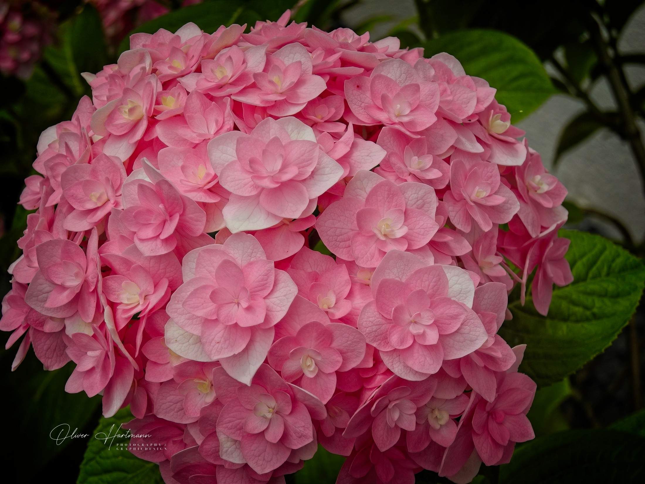 Bild ohne Beschreibung Bild ohne Beschreibung