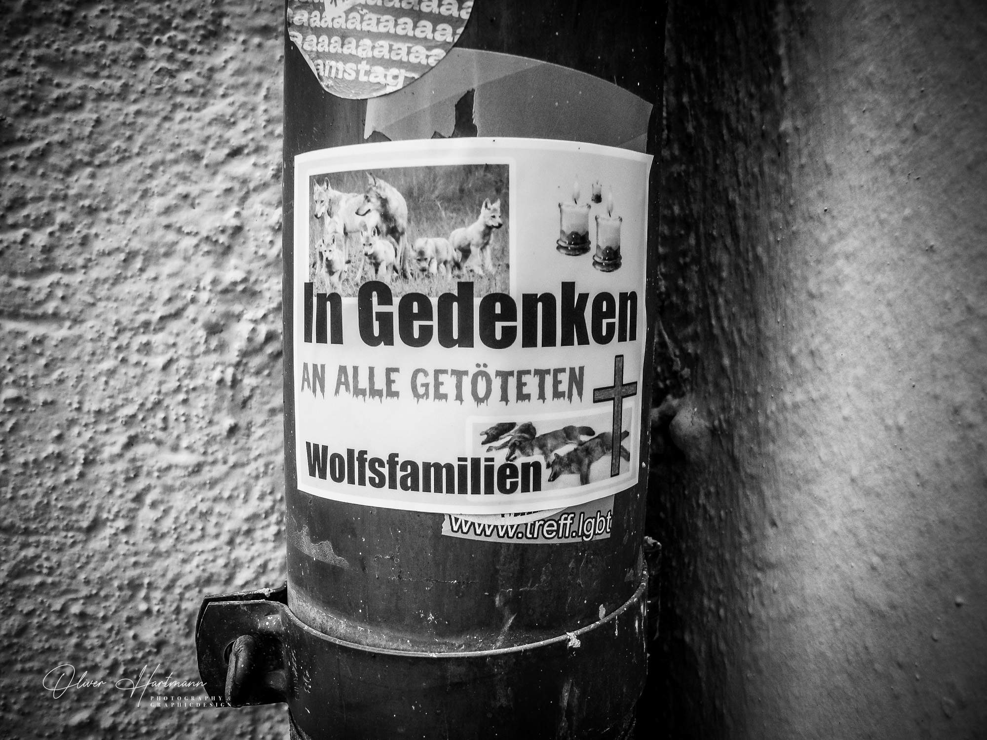 Bild ohne Beschreibung Bild ohne Beschreibung