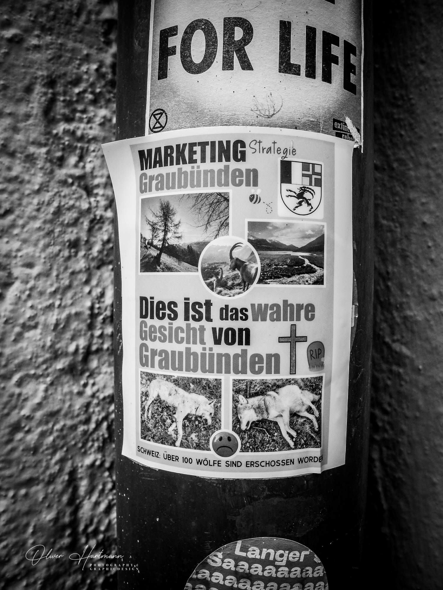 Bild ohne Beschreibung Bild ohne Beschreibung