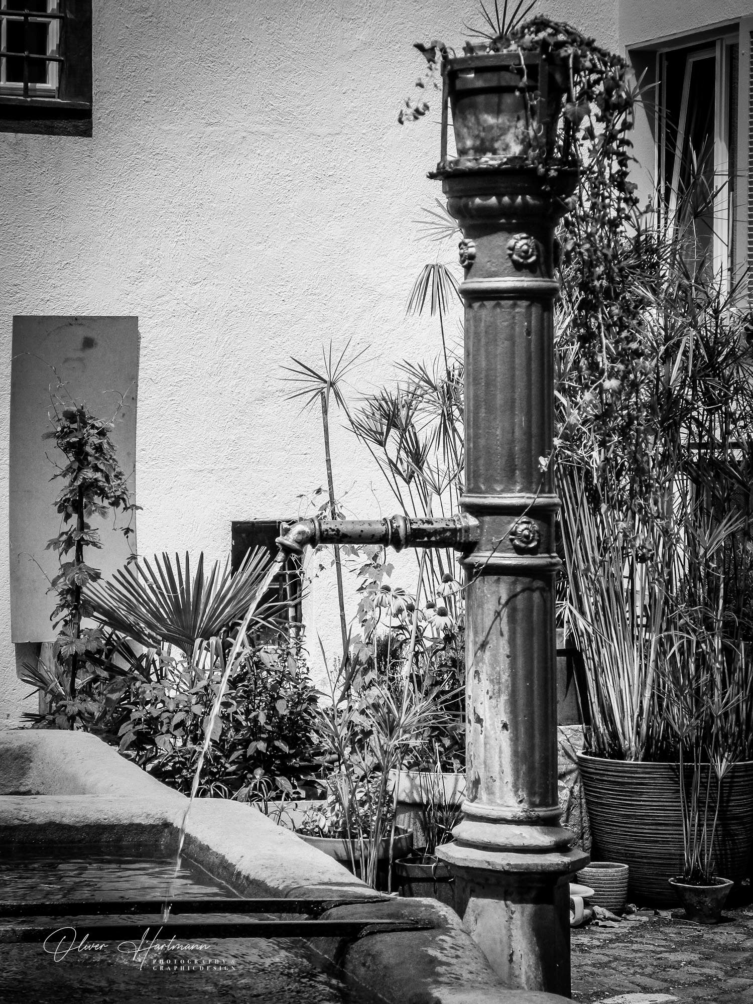 Bild ohne Beschreibung Bild ohne Beschreibung