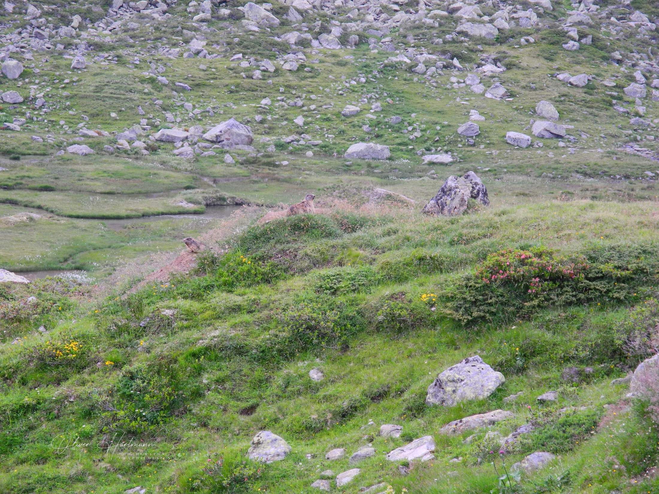 Bild ohne Beschreibung