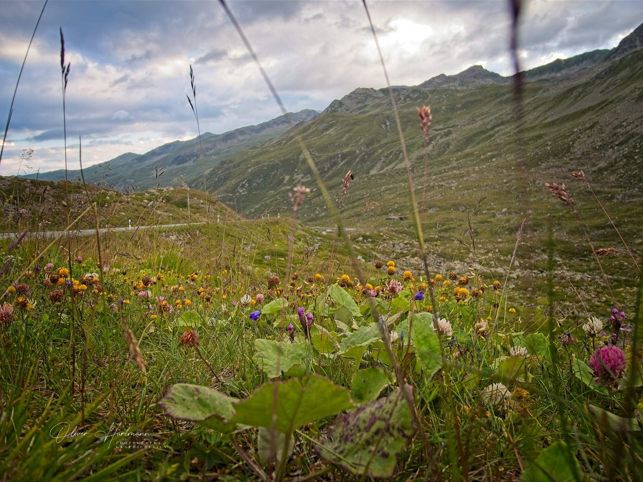 Bild ohne Beschreibung