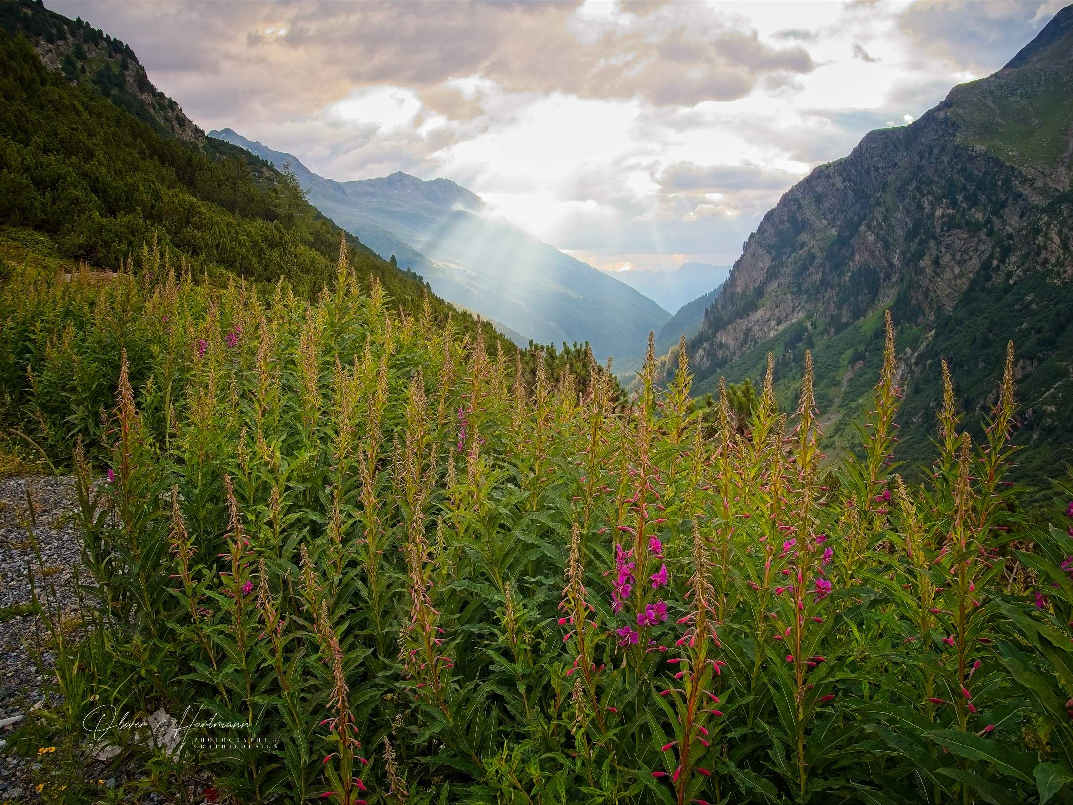 Bild ohne Beschreibung