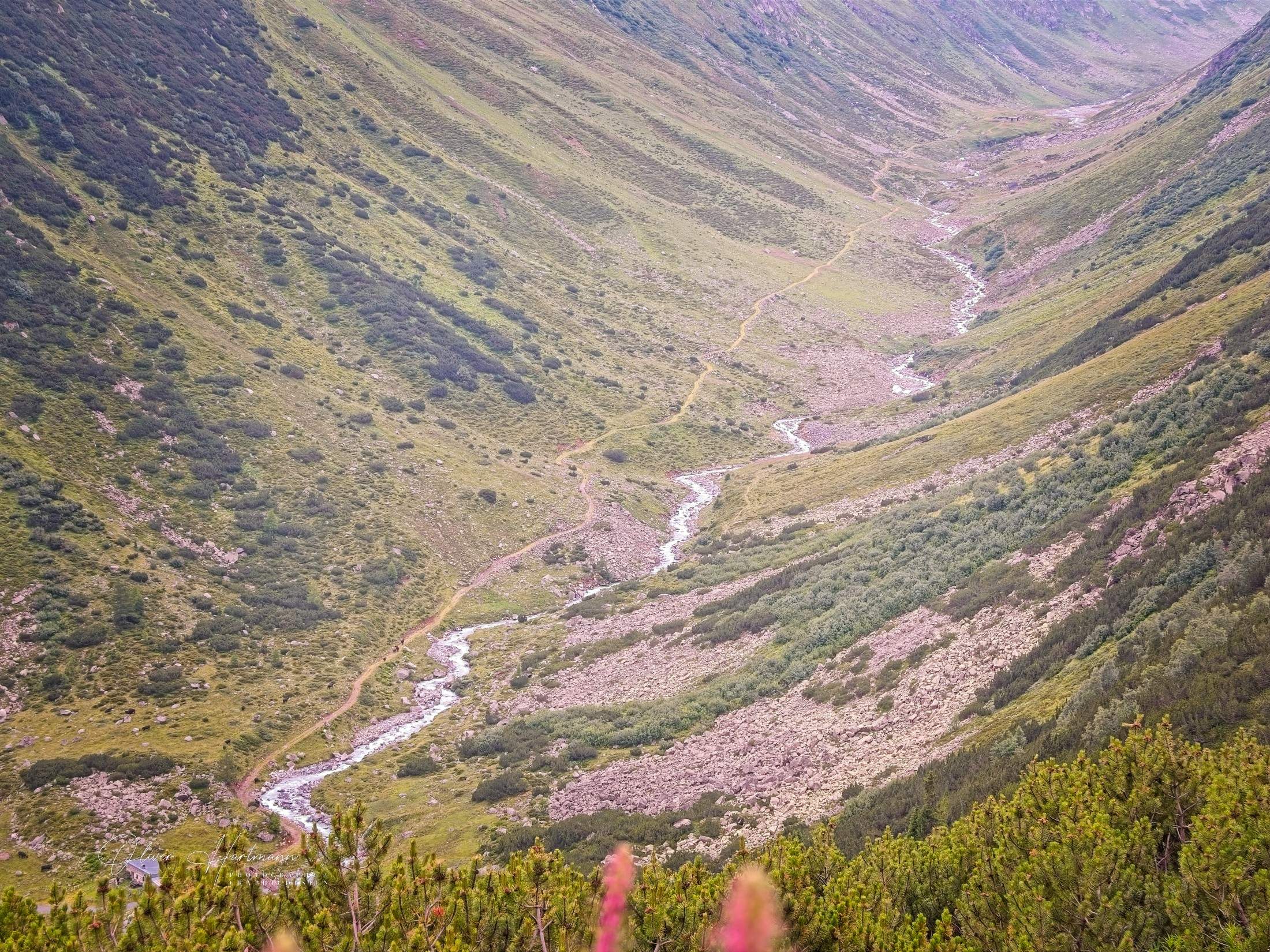 Bild ohne Beschreibung