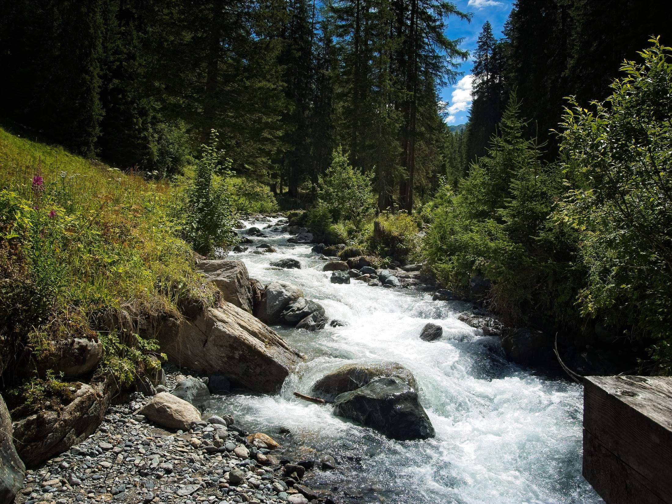 Bild ohne Beschreibung Bild ohne Beschreibung