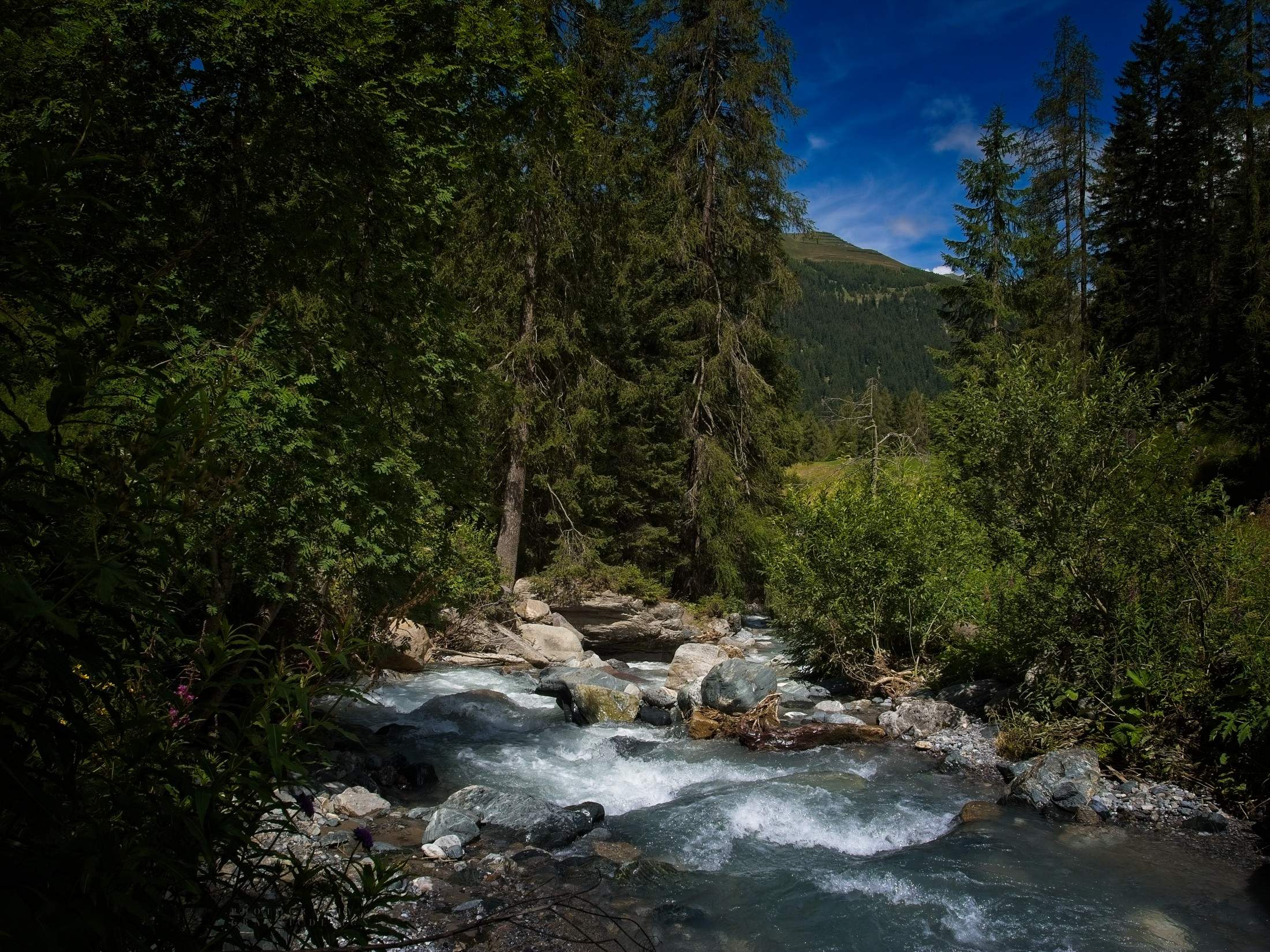 Bild ohne Beschreibung Bild ohne Beschreibung