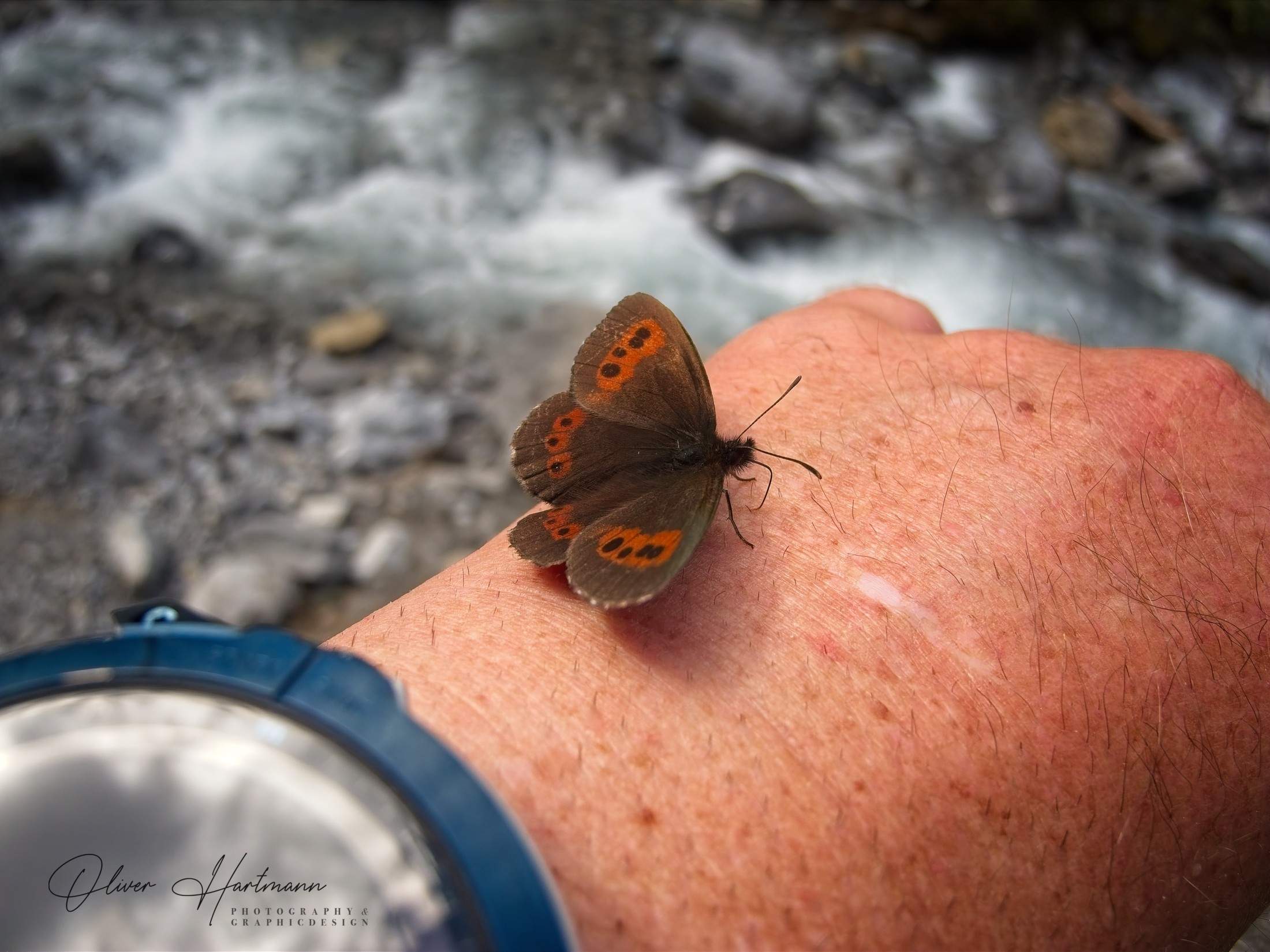 Bild ohne Beschreibung Bild ohne Beschreibung