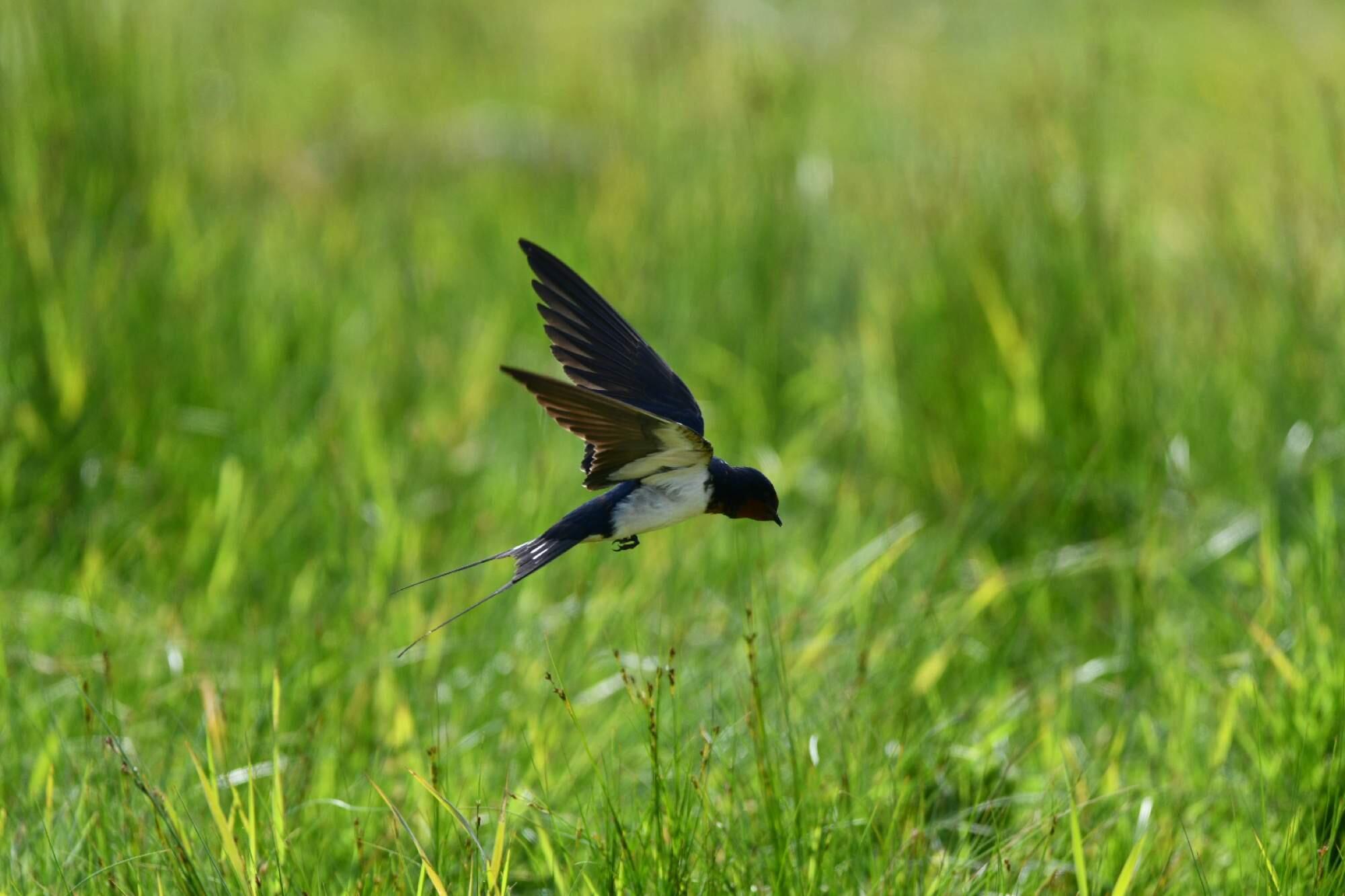 Bild ohne Beschreibung Bild ohne Beschreibung