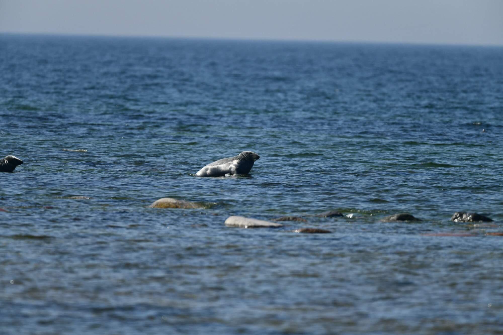 Bild ohne Beschreibung Bild ohne Beschreibung