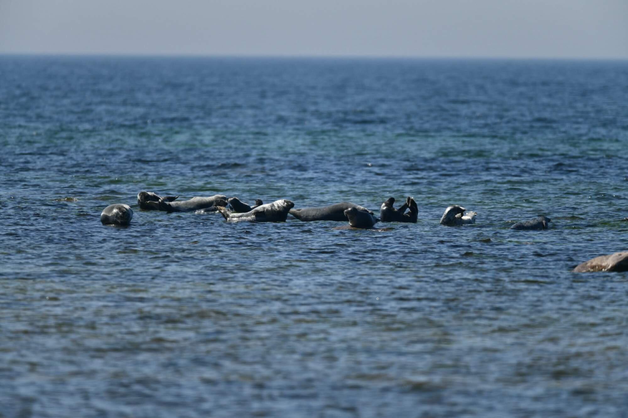 Bild ohne Beschreibung Bild ohne Beschreibung