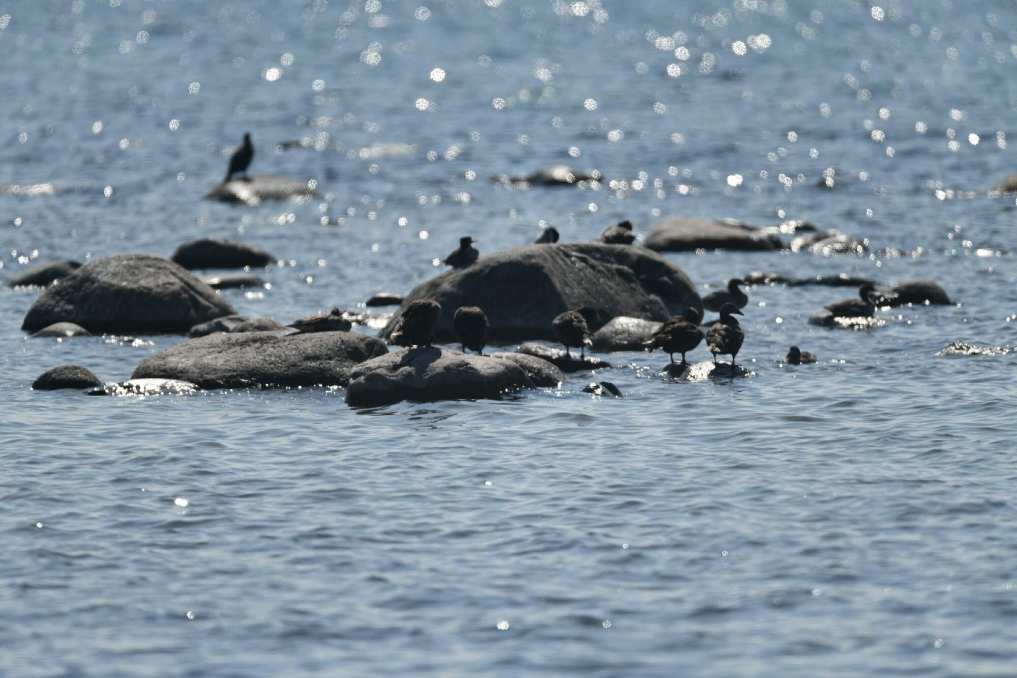 Bild ohne Beschreibung Bild ohne Beschreibung