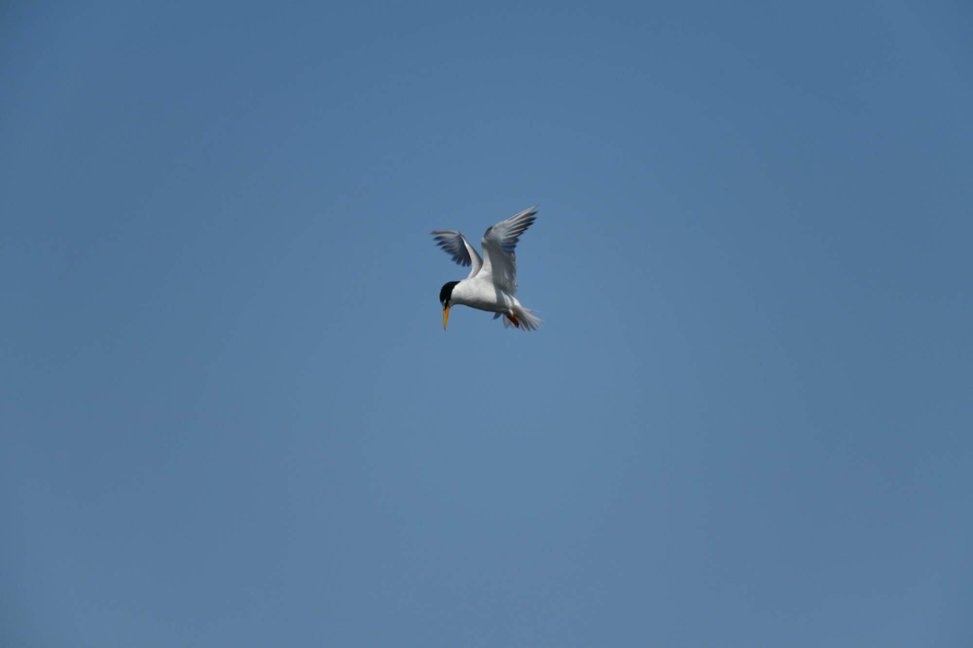 Bild ohne Beschreibung Bild ohne Beschreibung