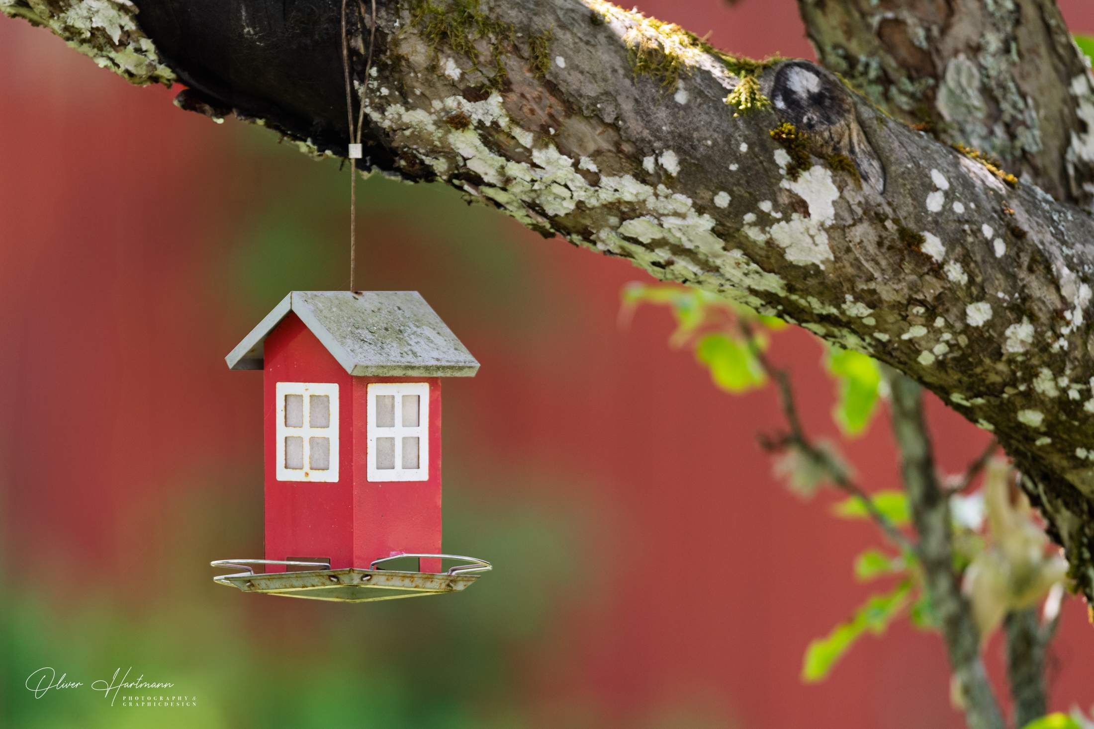 Bild ohne Beschreibung Bild ohne Beschreibung