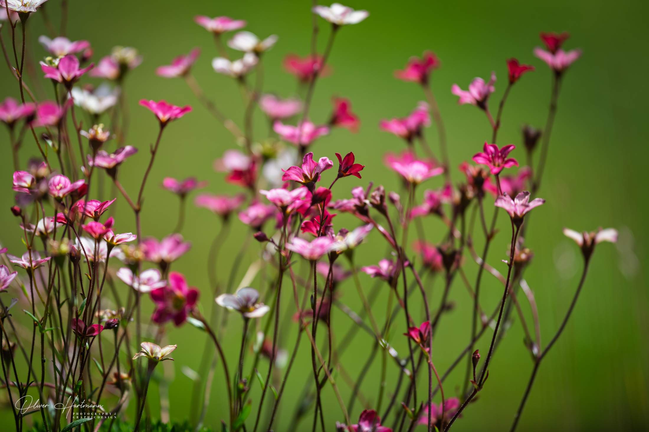 Bild ohne Beschreibung Bild ohne Beschreibung