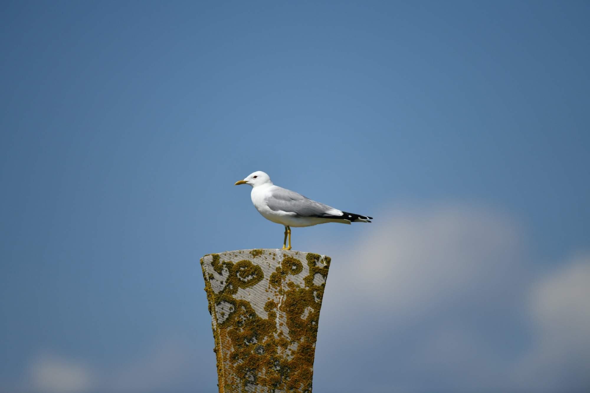 Bild ohne Beschreibung Bild ohne Beschreibung