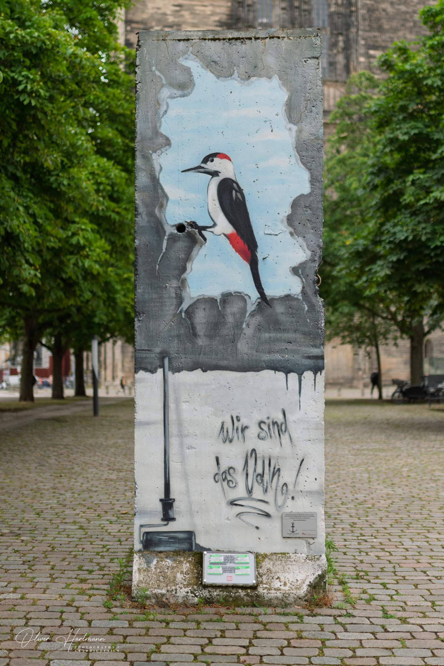 Bild ohne Beschreibung Bild ohne Beschreibung