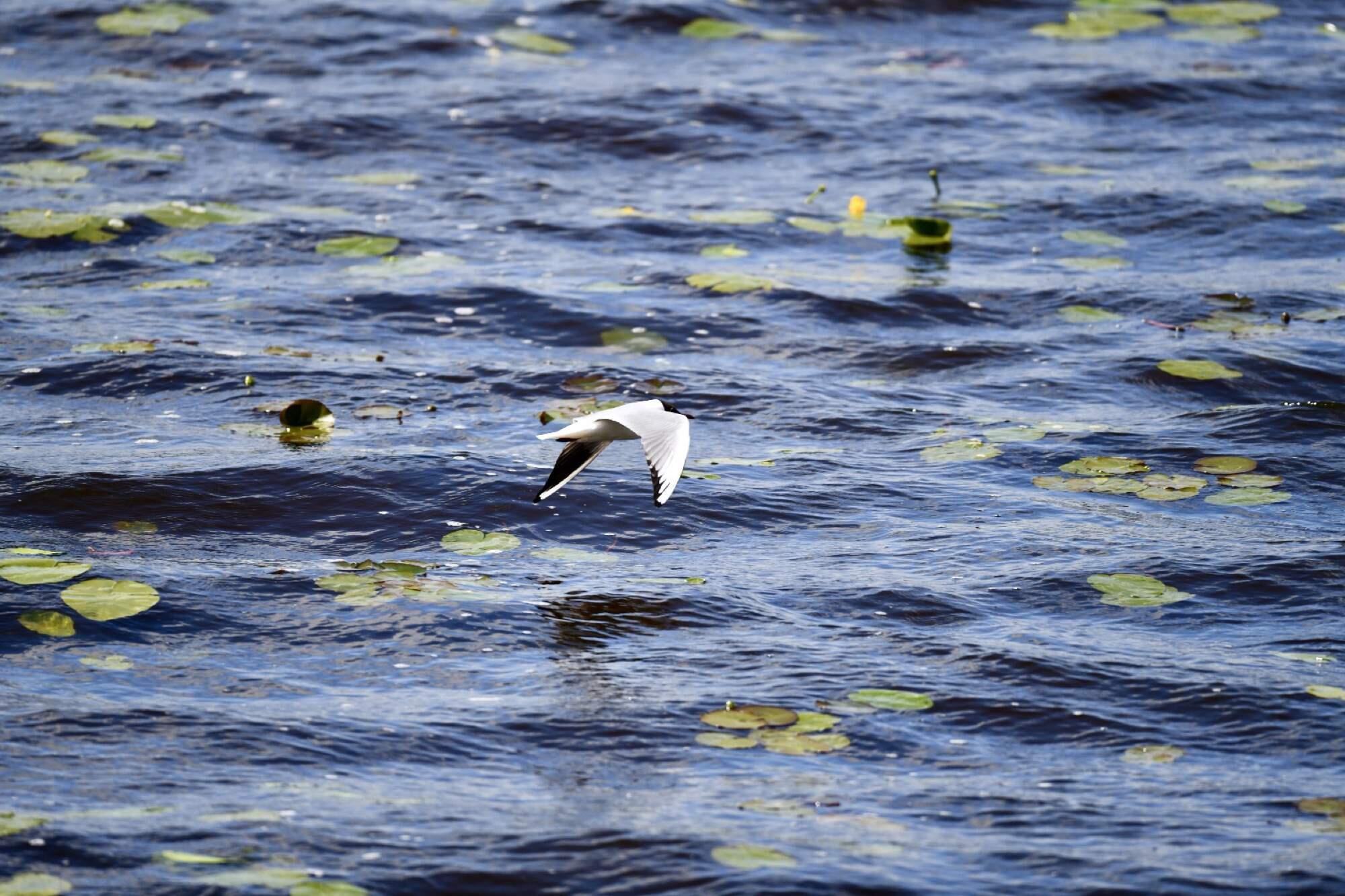 Bild ohne Beschreibung Bild ohne Beschreibung