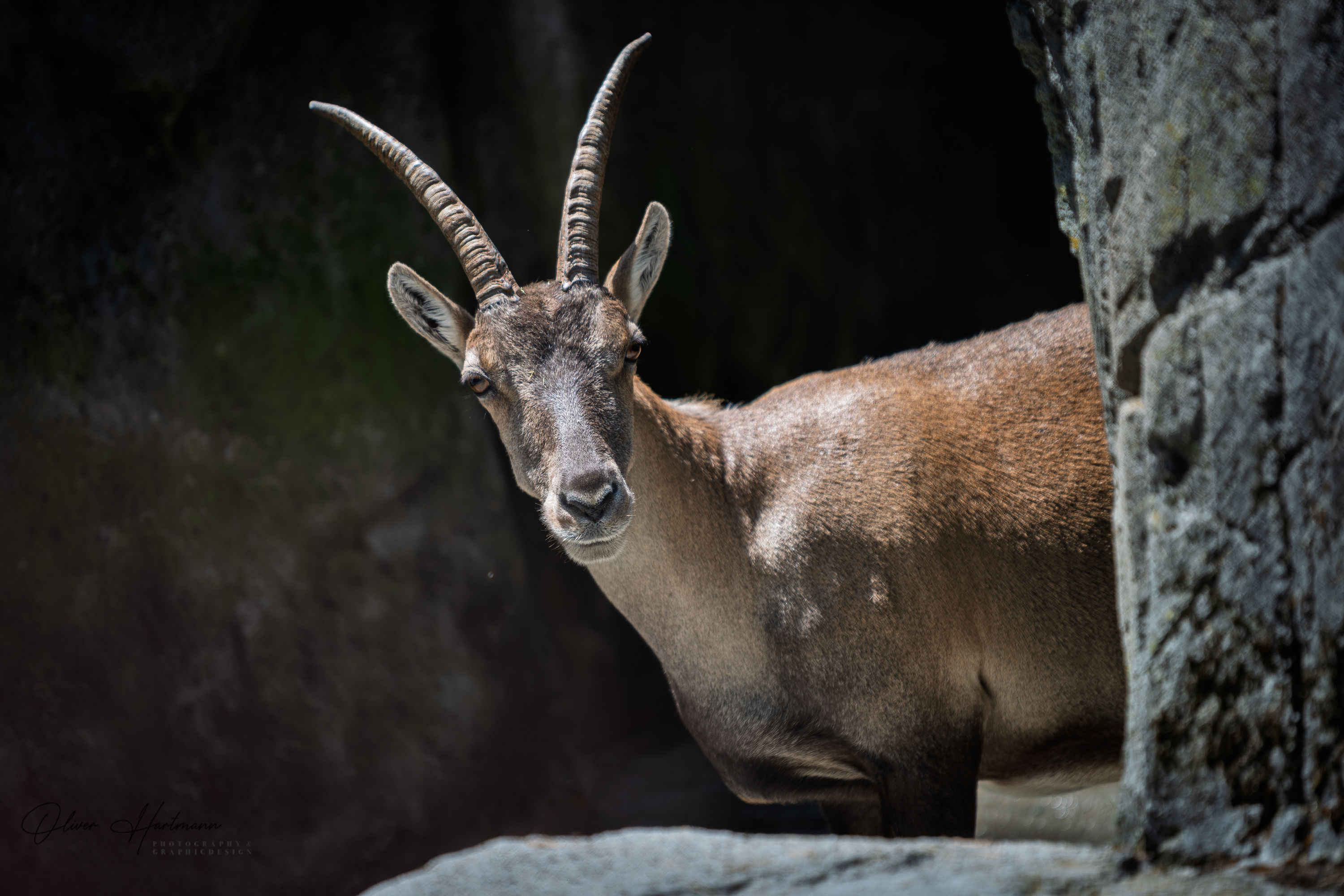 Bild ohne Beschreibung Bild ohne Beschreibung
