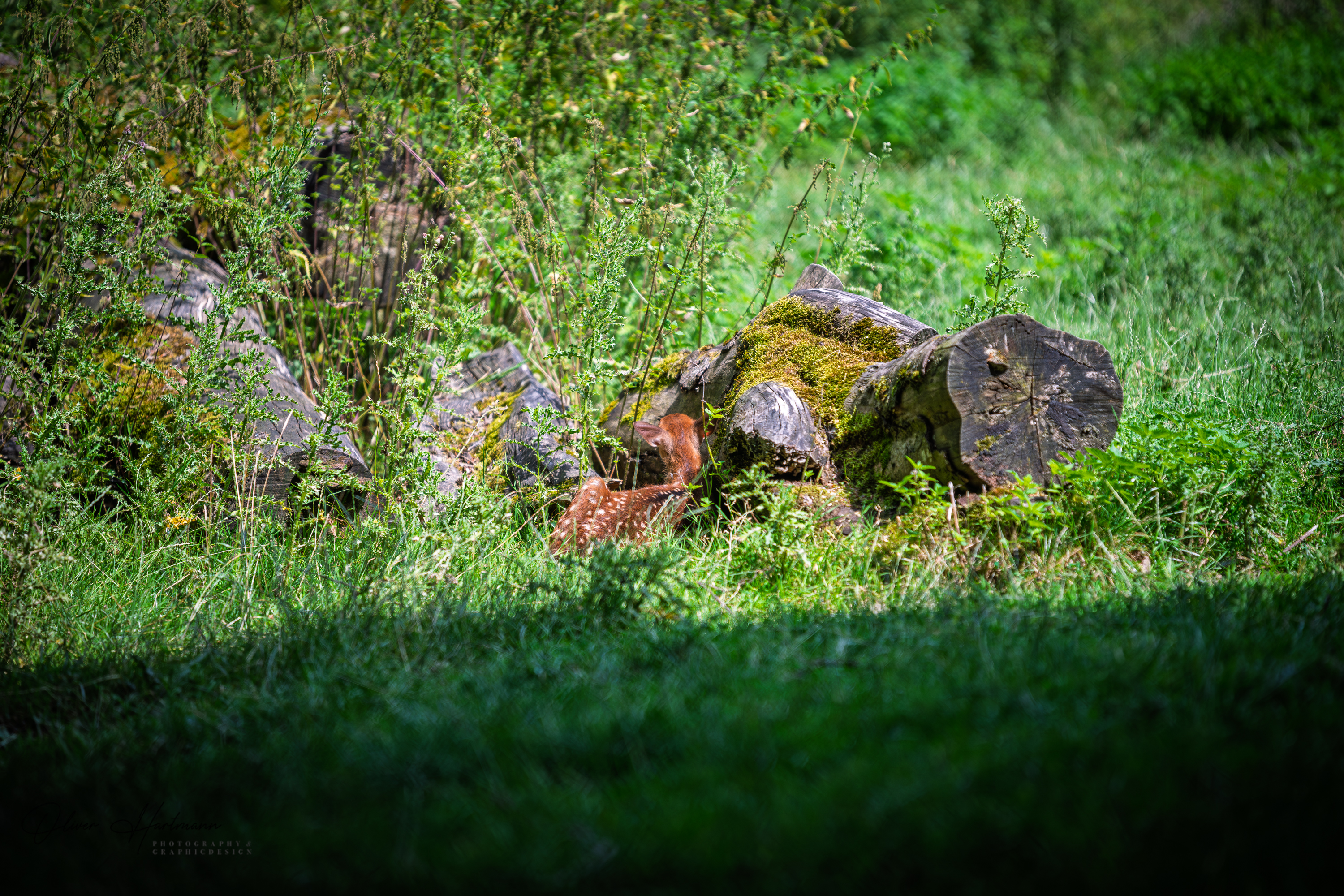Bild ohne Beschreibung Bild ohne Beschreibung