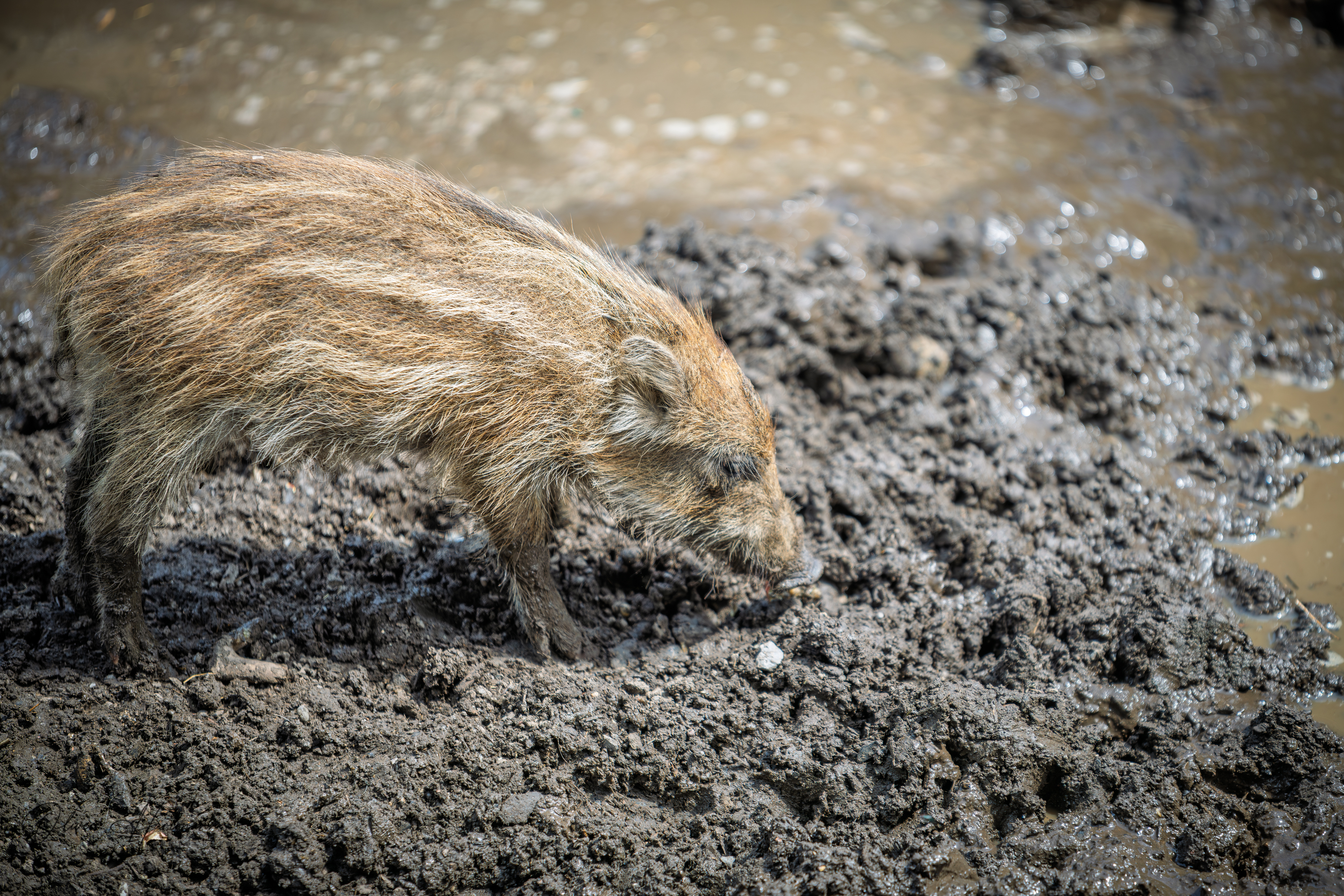 Bild ohne Beschreibung Bild ohne Beschreibung