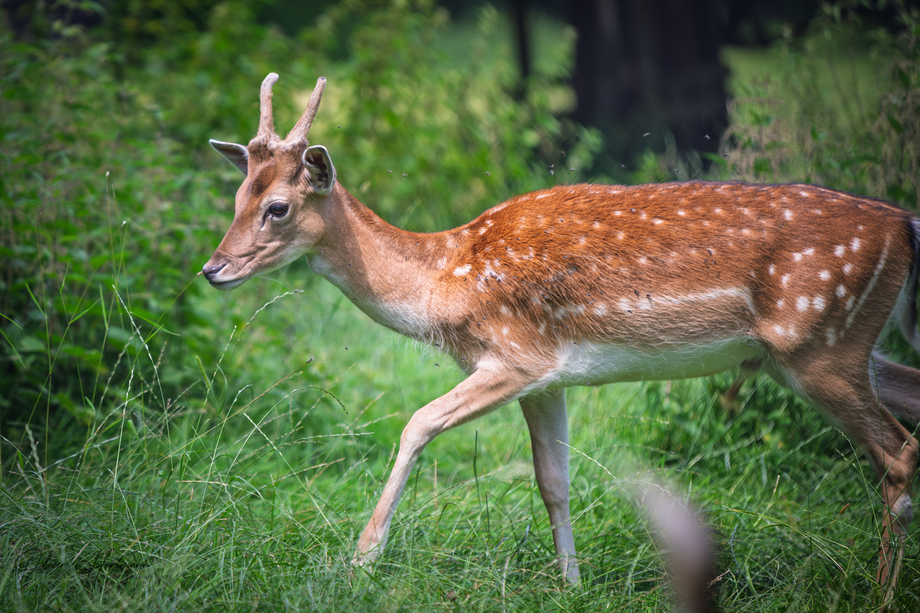 Bild ohne Beschreibung Bild ohne Beschreibung