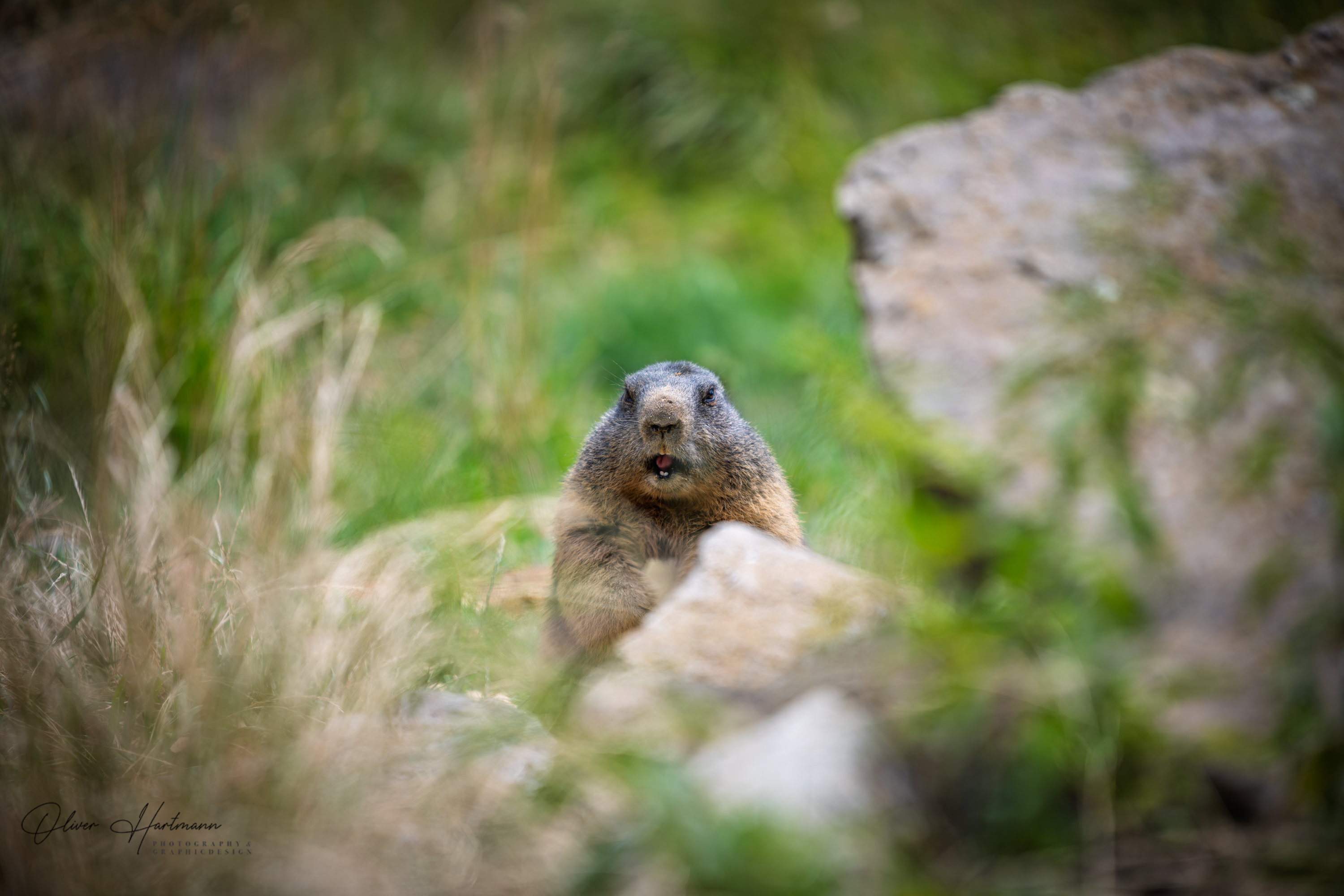 Bild ohne Beschreibung Bild ohne Beschreibung