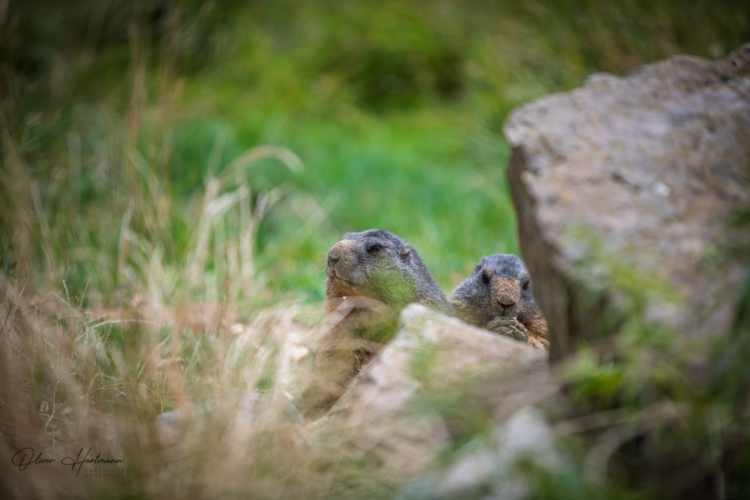 Bild ohne Beschreibung Bild ohne Beschreibung
