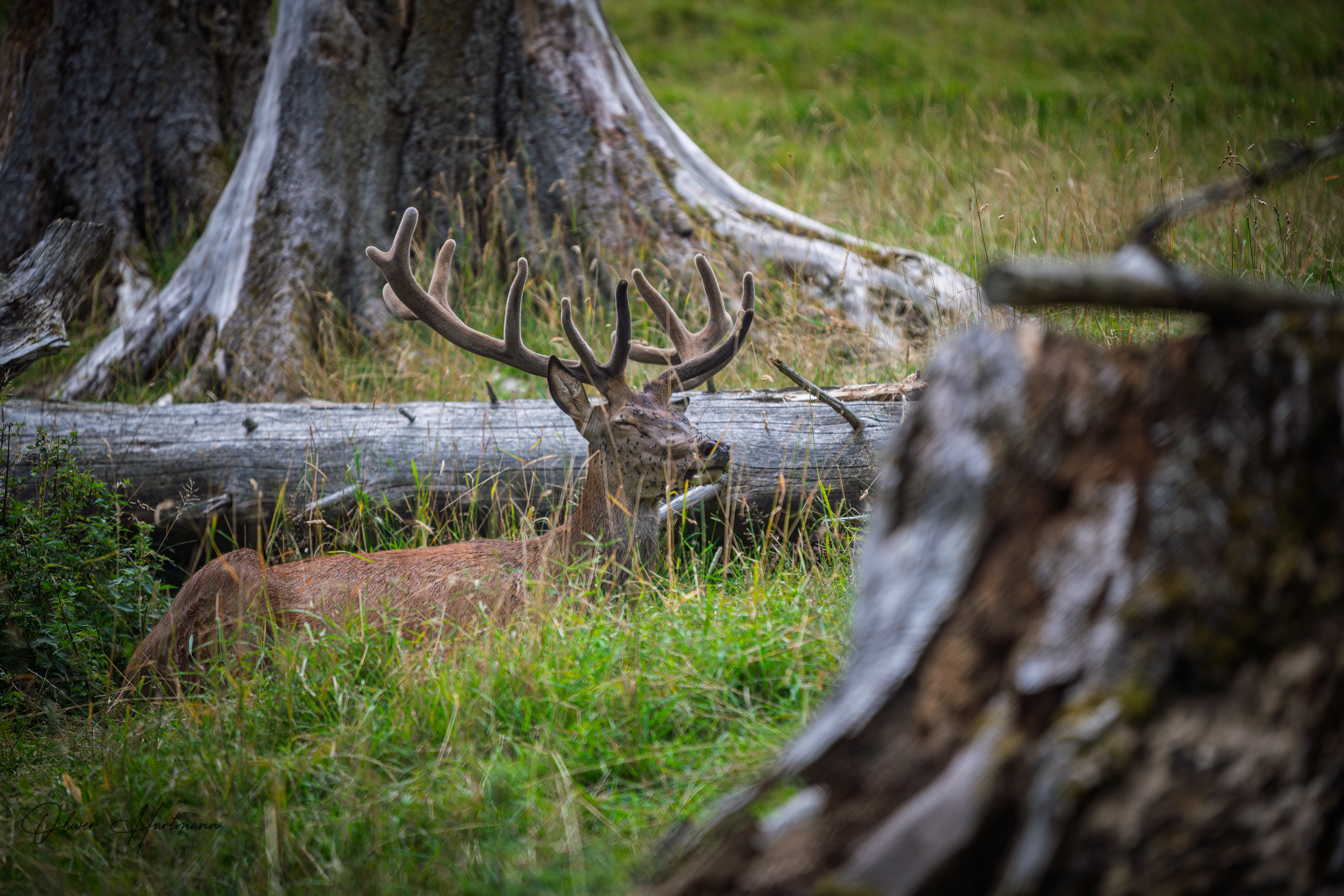 Bild ohne Beschreibung Bild ohne Beschreibung