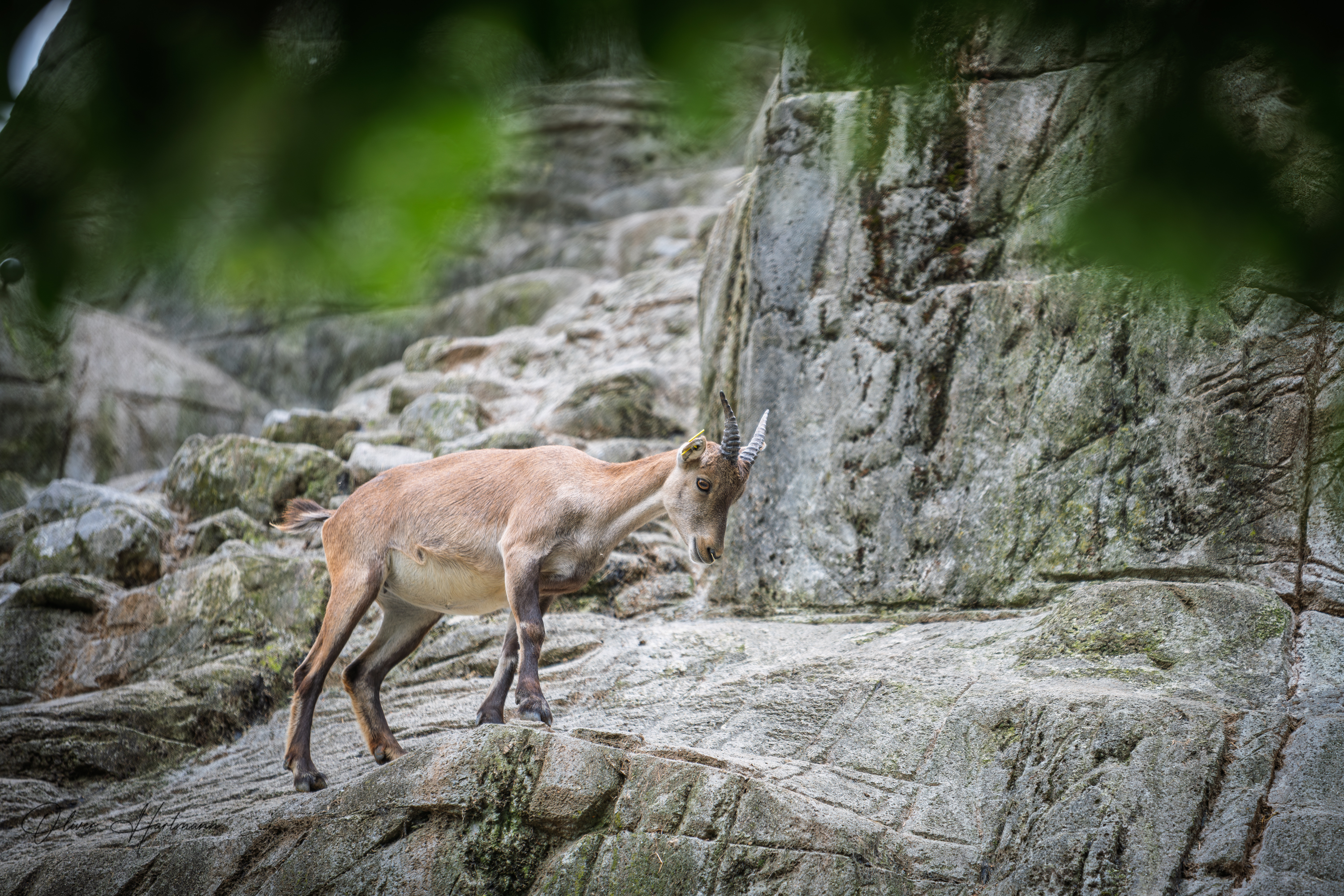 Bild ohne Beschreibung Bild ohne Beschreibung