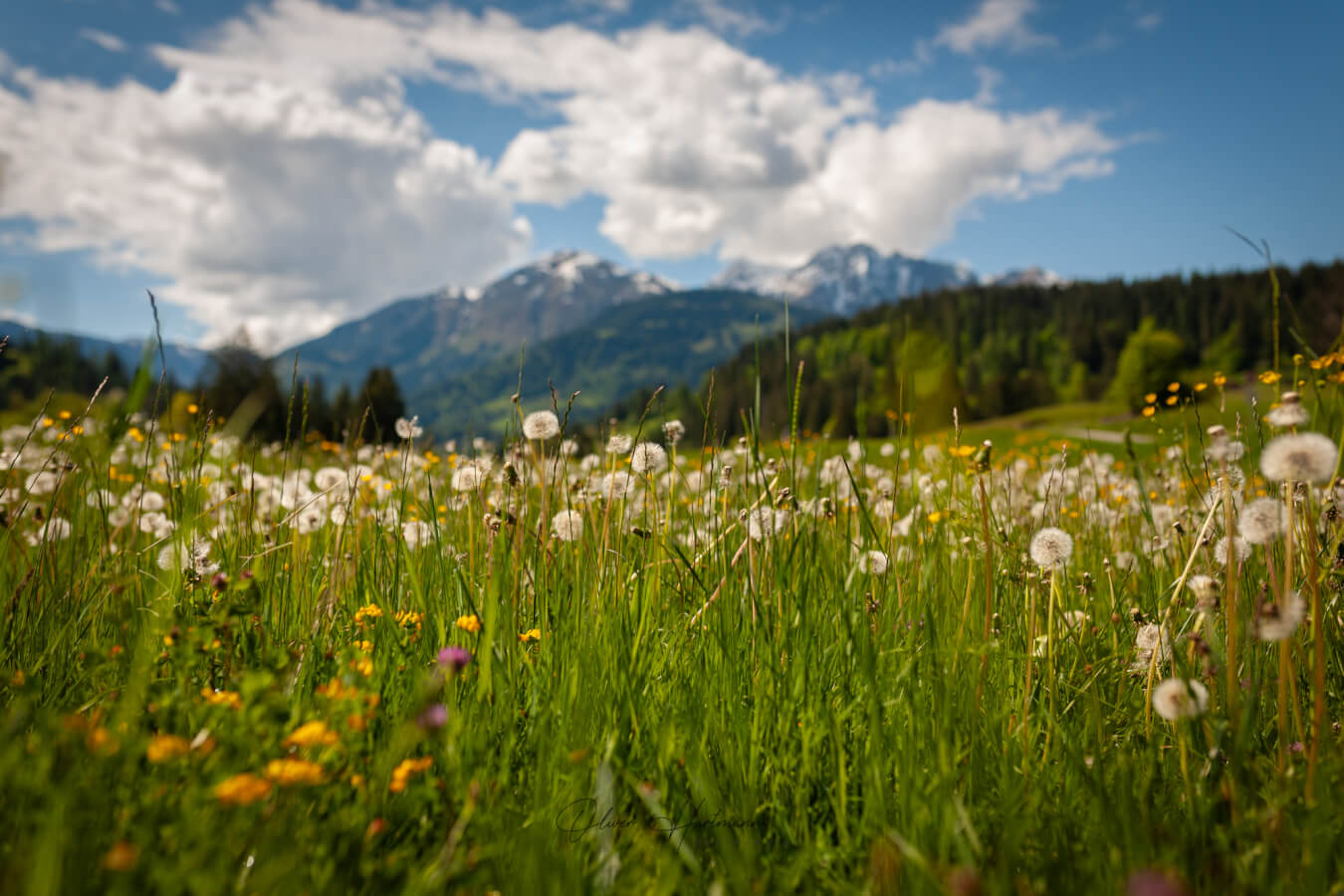 Bild ohne Beschreibung Bild ohne Beschreibung
