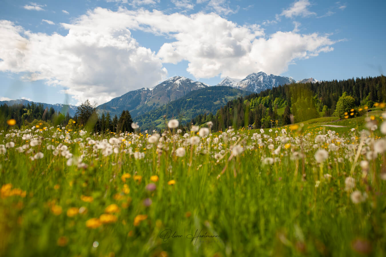 Bild ohne Beschreibung Bild ohne Beschreibung