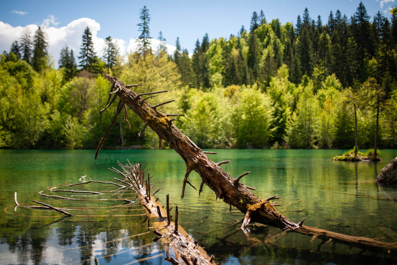 Bild ohne Beschreibung Bild ohne Beschreibung