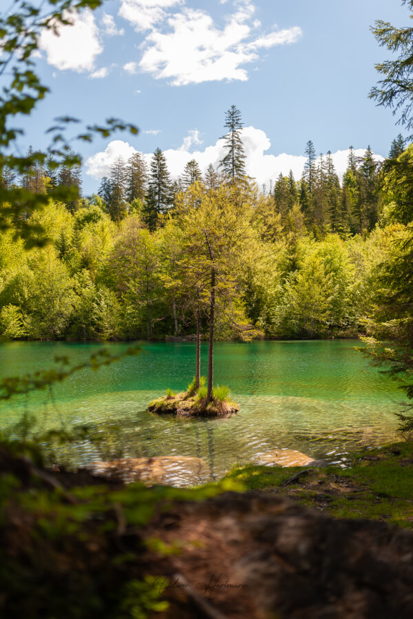 Bild ohne Beschreibung Bild ohne Beschreibung