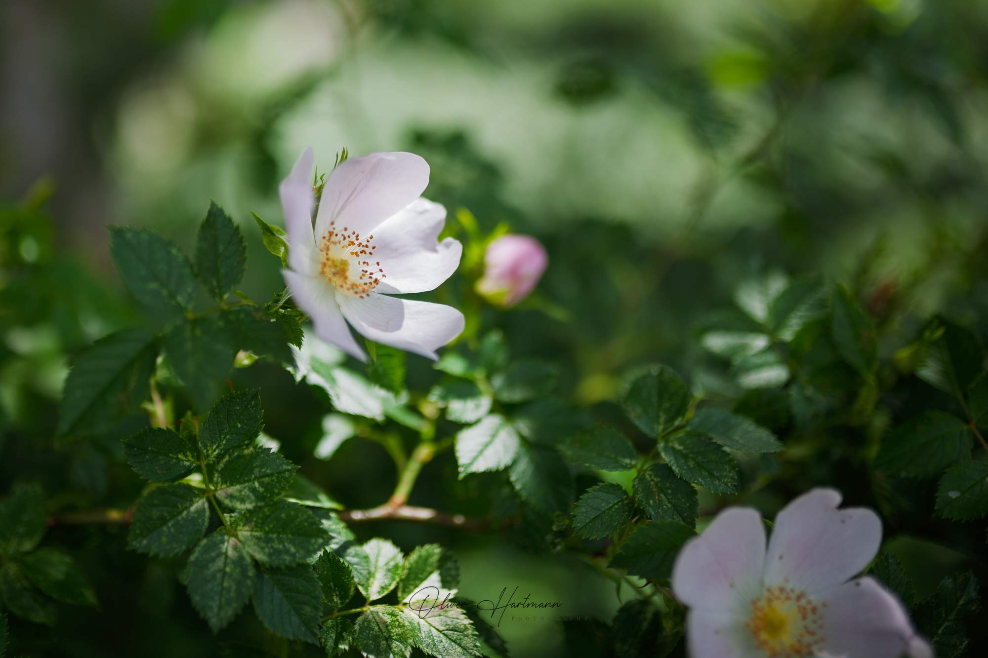 Bild ohne Beschreibung Bild ohne Beschreibung