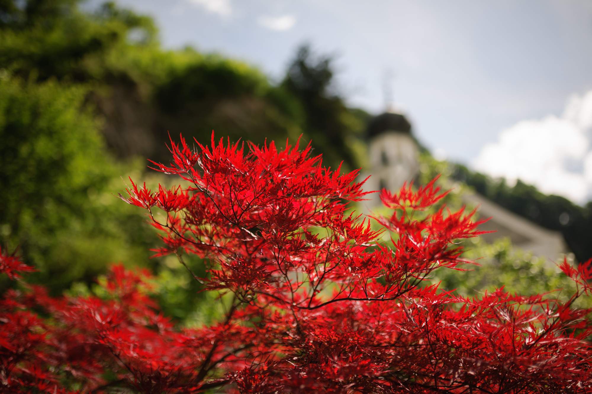Bild ohne Beschreibung Bild ohne Beschreibung
