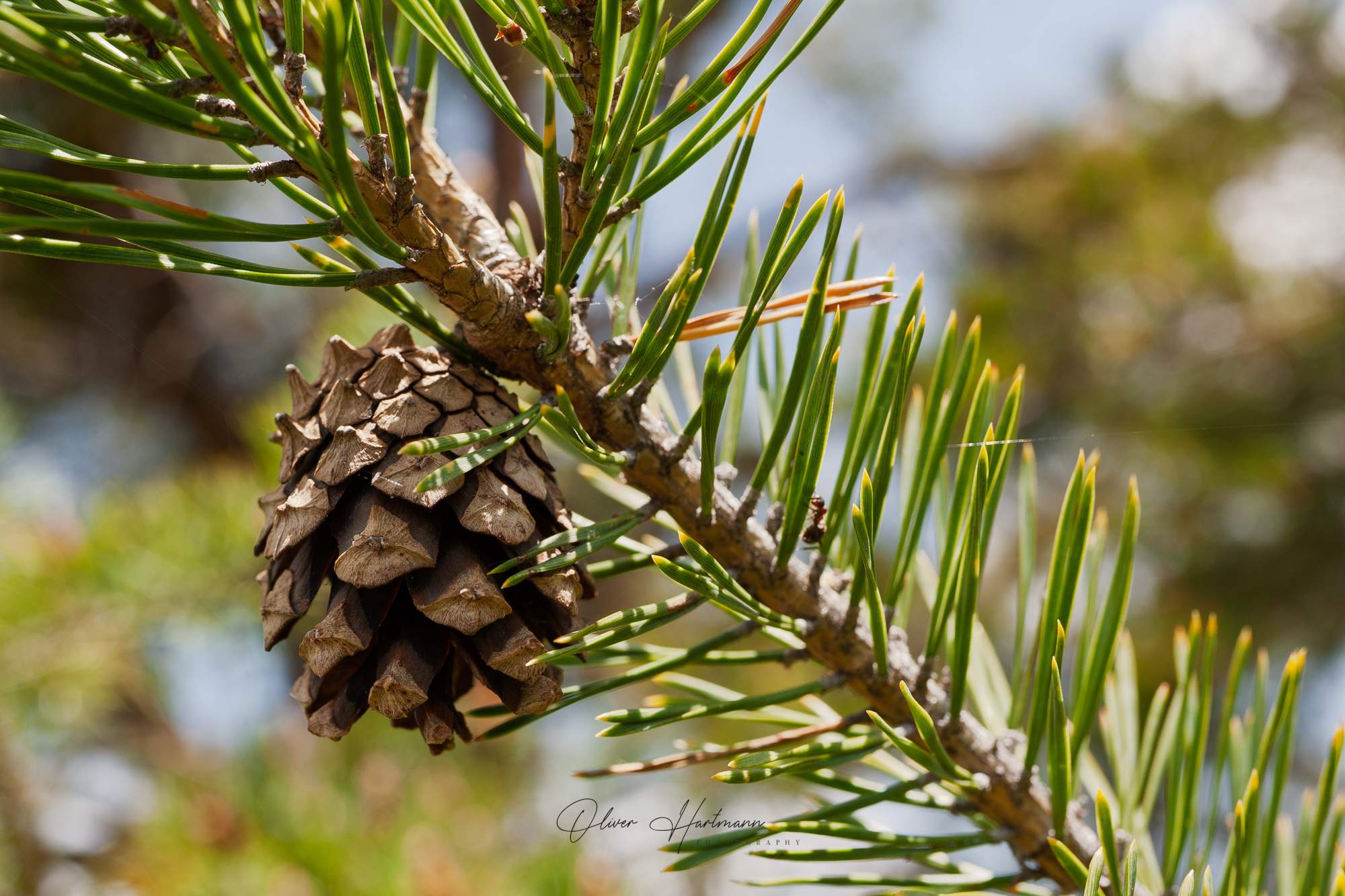 Bild ohne Beschreibung Bild ohne Beschreibung