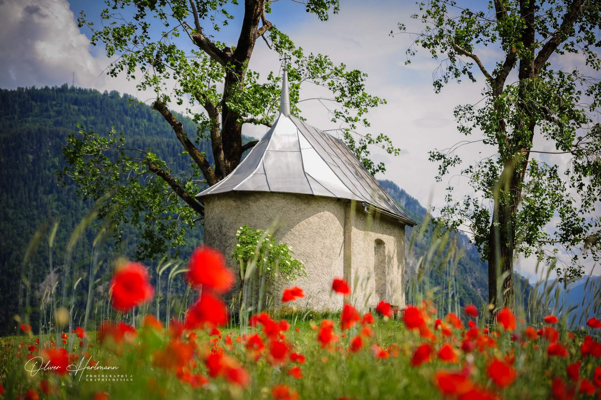 Bild ohne Beschreibung Bild ohne Beschreibung