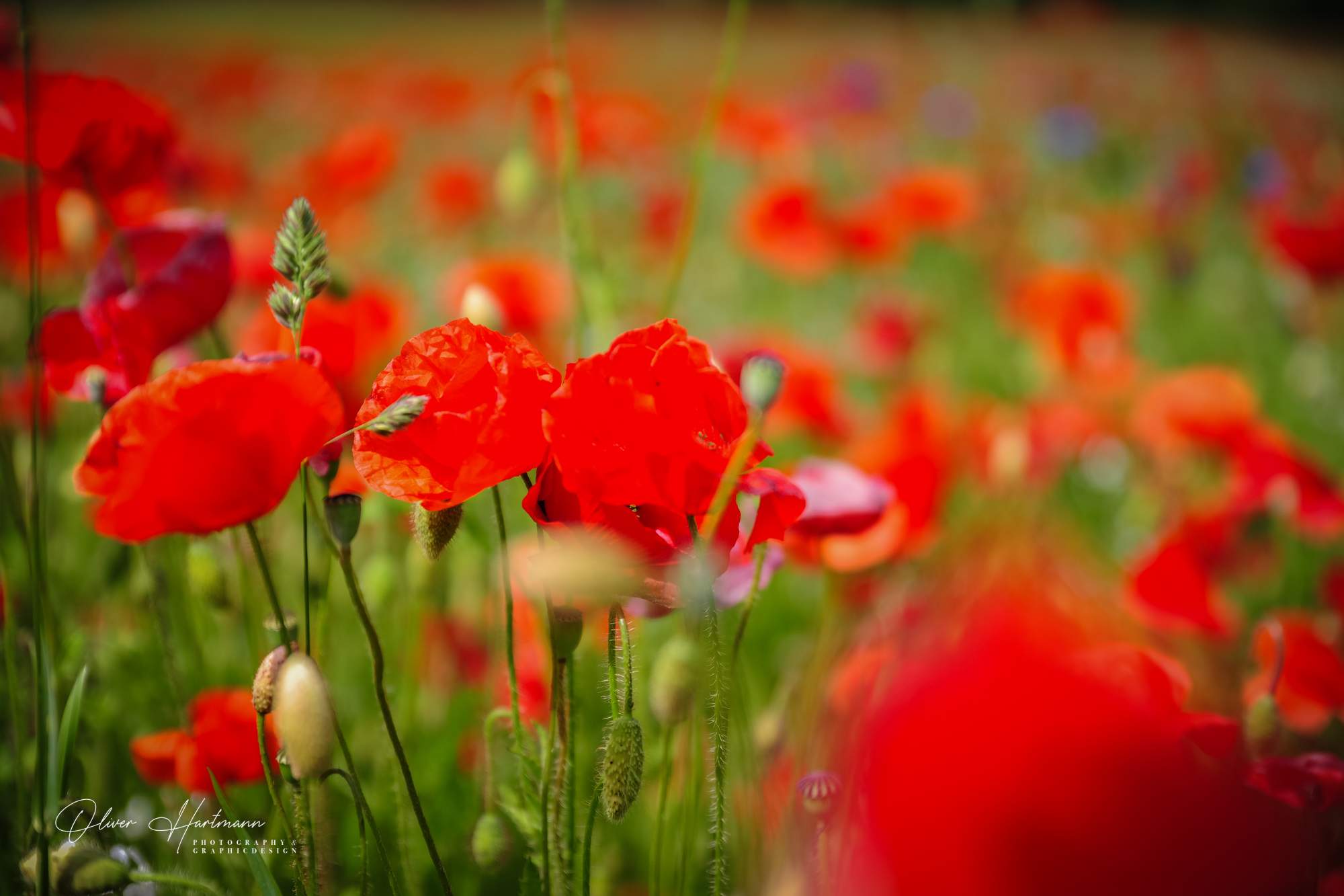 Bild ohne Beschreibung Bild ohne Beschreibung
